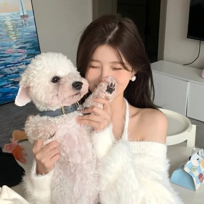海绵宝宝的故事